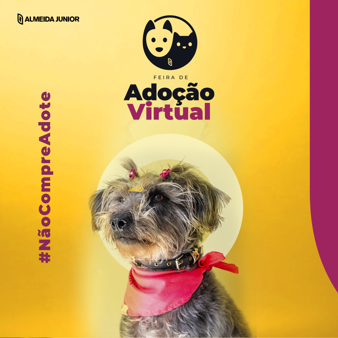 Shoppings Almeida Junior realizam campanha virtual de adoção pet
