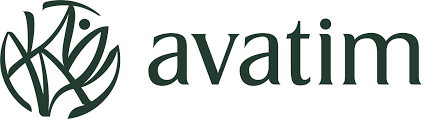 logo Avatim