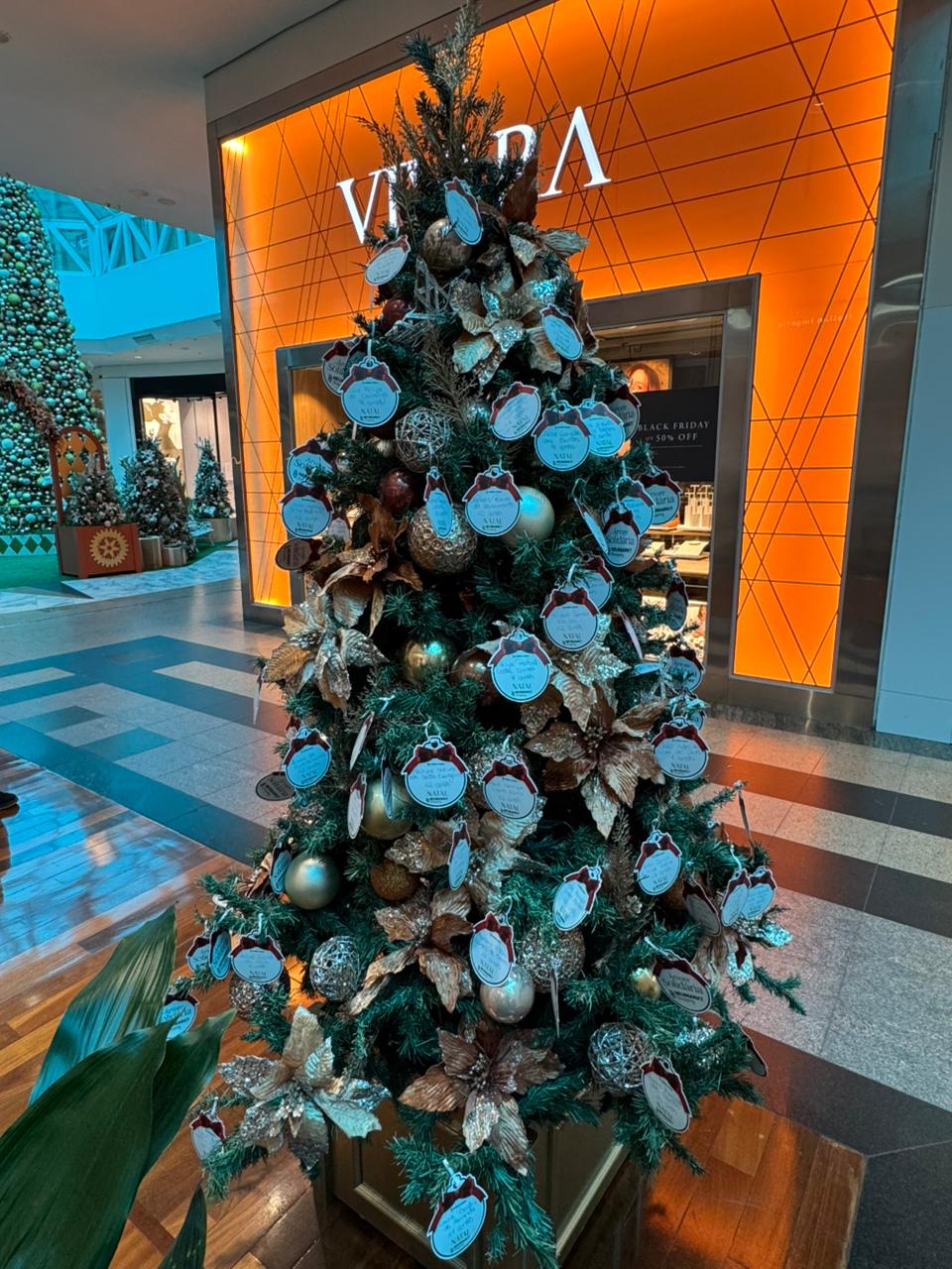 Grupo Almeida Junior promove campanha Árvore Solidária, arrecadando presentes de Natal para crianças em situação de vulnerabilidade social em SC